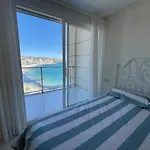 Mesana 102 / Penthouse Appartement *
