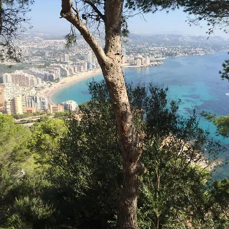 Апартаменти Mesana 102 / Penthouse