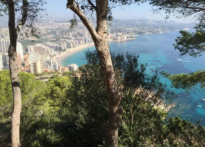 Apartamento Mesana 102 / Penthouse