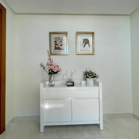 Mesana 102 / Penthouse Appartement